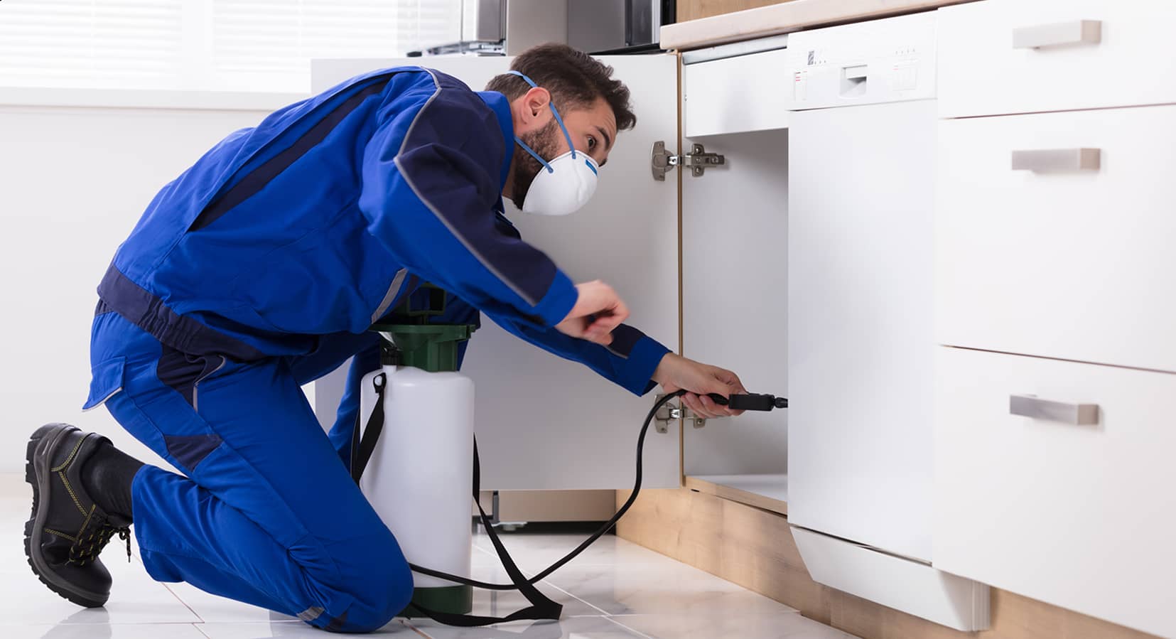 Pest Control Service