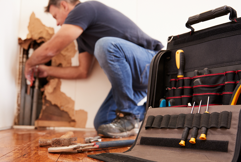 Professional Restoration